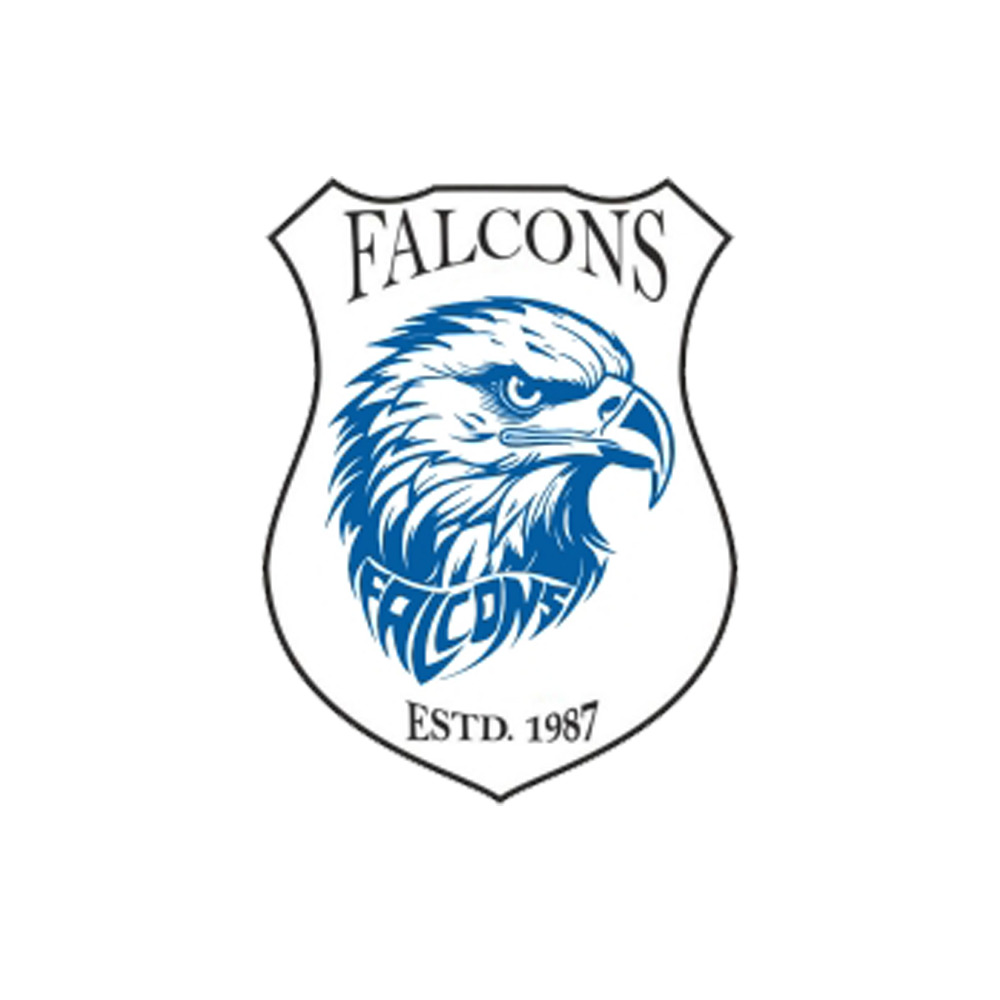 CMS Falcons 'A'